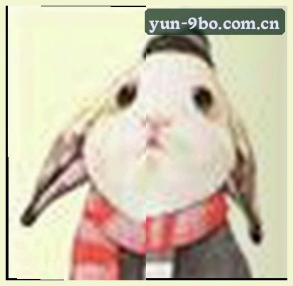 陈涛